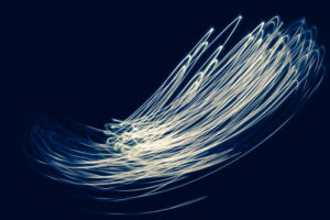 Daniel Bahrmann, phenomenon 4017